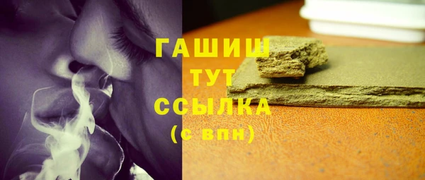 индика Карпинск