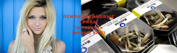 прущая мука Киреевск