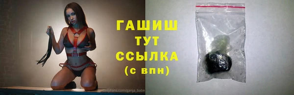 индика Карпинск