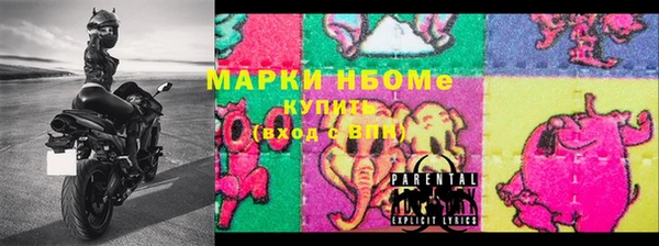 индика Карпинск
