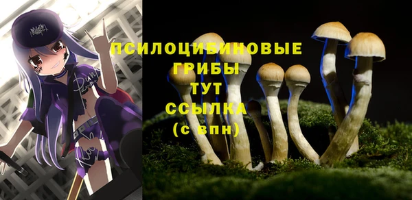 MDMA Premium VHQ Киренск